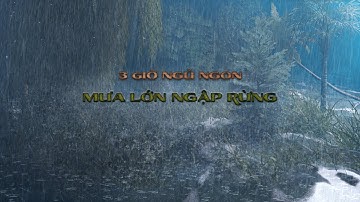 Trị Mất Ngủ Khi Nghe Cơn Mưa Đêm & Sóng Lớn Ngập Rừng Nhiệt Đới, Nhạc Thư Giãn, Rain Sounds Relaxing