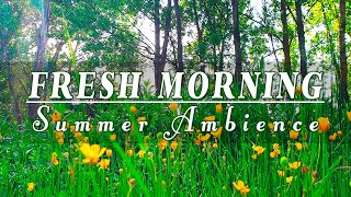 🌿🌞Begin Your Day With The Positive Energy Of Healing Forest Sounds 🌿 Fresh Morning Summer Ambience