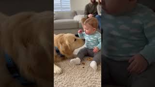 The Baby Tried To Be Serious But Failed