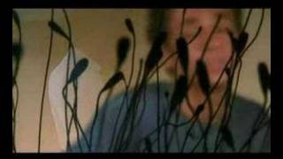 Mashahir Bandshaher & Traffic Ft.mani Tk-- Cheshmaye Naz