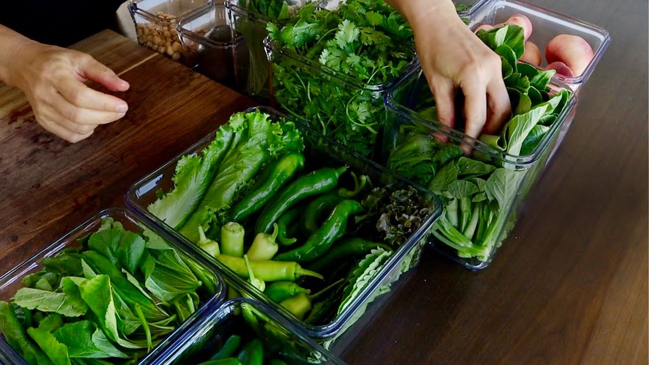 채소보관을 위한 1등 살림템