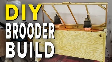Building a HIGH QUALITY Chick Brooder (50 CHICKS!)