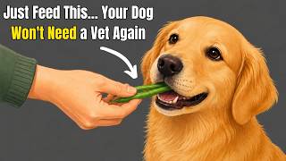 18 Human Foods Vets Feed Their OWN Dogs… But Never Tell Anyone
