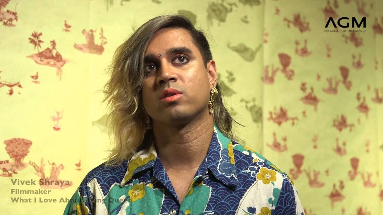 Image result for vivek shraya