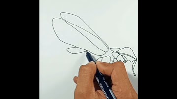How to draw Leaf Insect #shorts