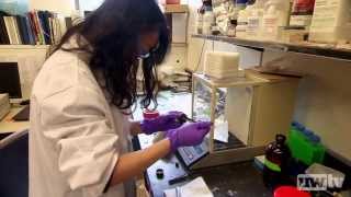 Archive: UW|360: Environmental Innovation