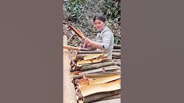 Peeling off process of tree bark