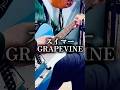 スイマー/GRAPEVINE #弾き語り #ギター弾き語り #歌ってみた #弾いてみた #GRAPEVINE