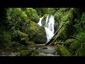 Emotional Healing Piano With Flowing Water Relaxing Music For Spa Meditation Sleep Emotional Healing Piano With Flowing Water Relaxing Music For Spa Meditation Sleep