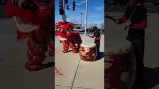 Chinese Lion Dance - Our 4th Lion!