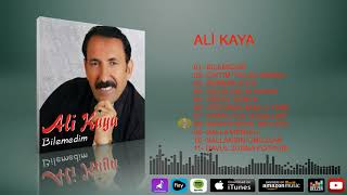 Ali Kaya  -   Refahiyenin Beyleri Resimi