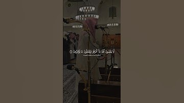 (يقولون ربنا أتمم لنا نورنا واغفر لنا) سورة التحريم | #عبدالرحمن_المغامسي #اكسبلور #المصحف #قرآن