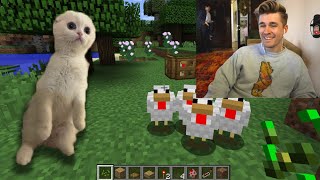 I Forced Chat To Make a Video Game With My Cat ft. @MichaelReeves @QTCinderella @Ottomated screenshot 5