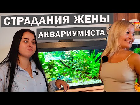 Видео: Как аквариум от сестры стал причиной семейных проблем! История лишений и страданий жены аквариумиста