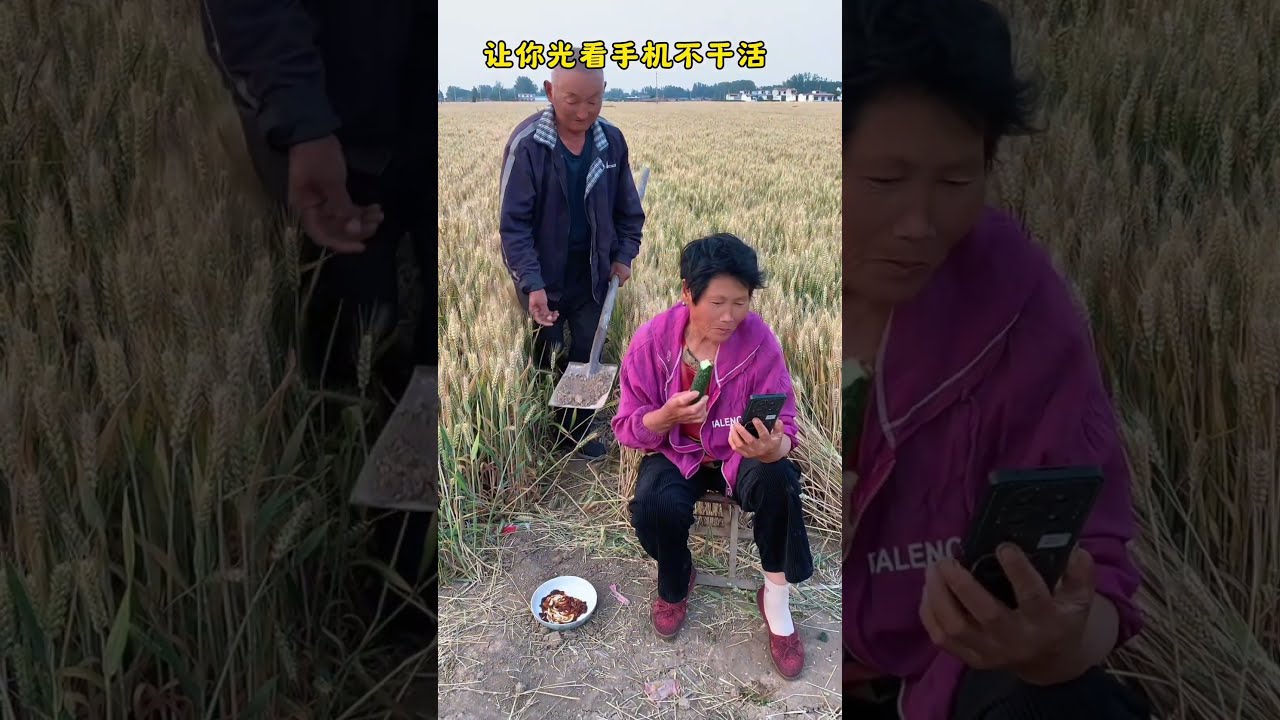 Let You Look At The Phone And Not Work Jianghubaixiaosheng TikTok Game Funny Ruralstory Laugh