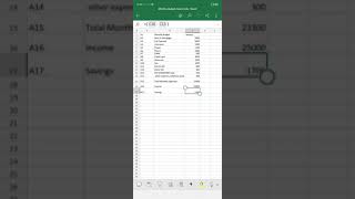 performance task 2.4 monthly budget