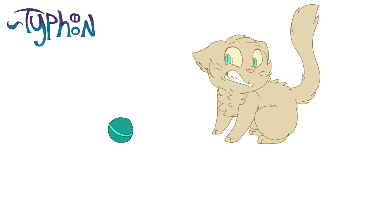 Smol cat animation camera iphone 8 plus apk