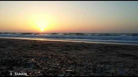 الشيخ فارس بن عبدربه عباد ، مقام صنعاني ، إمام بمسجد علي بن أبي طالب ،الشرقية ، سورة المؤمنون