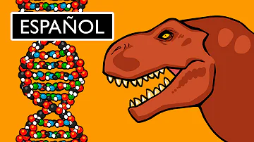 ¿Qué es el ADN indio?