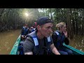Borneo Jungle a little adventure 🇲🇾