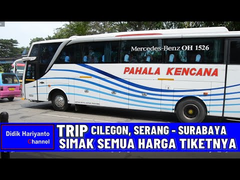 Perjalanan Panjang Menuju Pantai: Menelusuri Rute Bus Surabaya-Cilegon