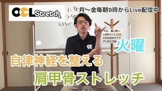 ５月１１日　OCLストレッチLIVE配信録画版　脳をリセット！自律神経を整える　火曜　腕・肩編