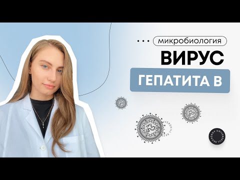 Микробиология | Вирус гепатита В