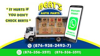 Bert's Auto Parts Delivery Service