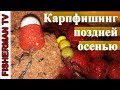 Карпфишинг поздней осенью