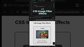 #36 CSS Image Filter Effects