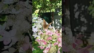 #увильды , #природа , #челябинск