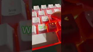 W&L Steel A Brainrot