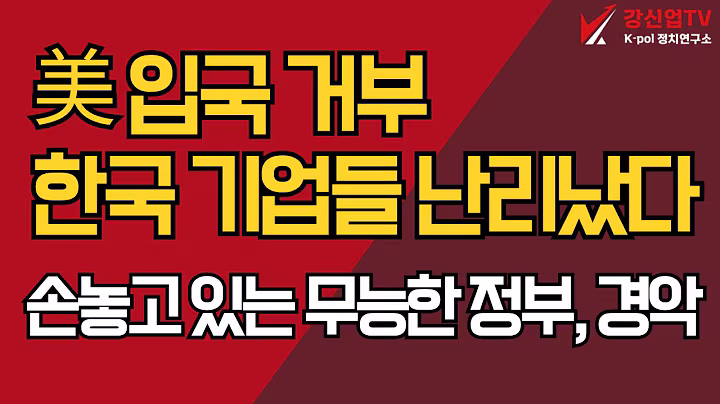 美 입국 거부 한국 기업들 난리났다/손놓고 있는 무능한 정부, 경악