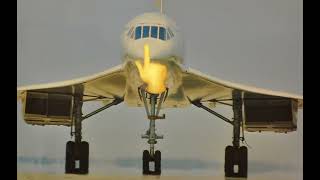 Concorde Mewing