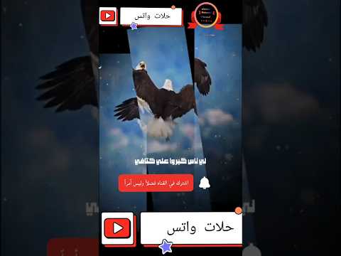 وفاه والقلب كان صافي اكسبلور