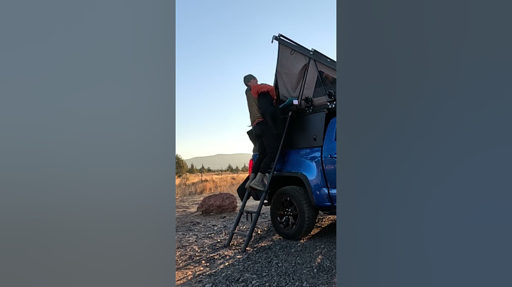 Getting my dog out of a rooftop tent  #shorts #camping