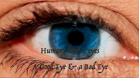 The End of Suffering - Philosophy of Metaphysics - English Version