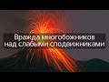 #6|Вражда многобожников над слабыми сподвижниками