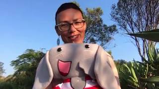 Tippie Level 1: Book 5