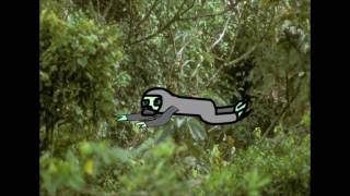 sloth animation test