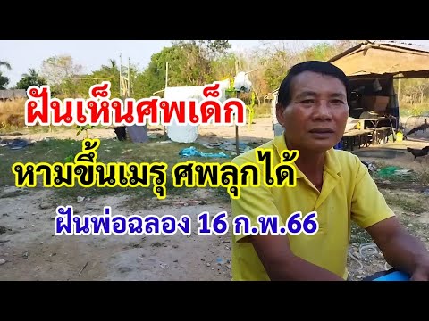 ฝันเห็นศพเด็ก หามขึ้นเมรุ ศพลุกได้ ฝันพ่อฉลอง 16ก.พ.66