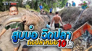 #สูบบ่อวิดปลา "ลุยดงปลาหมอ 10 โล" [ วิถีบ้านๆหนุกหนานสไตล์ลูกท่อง ]