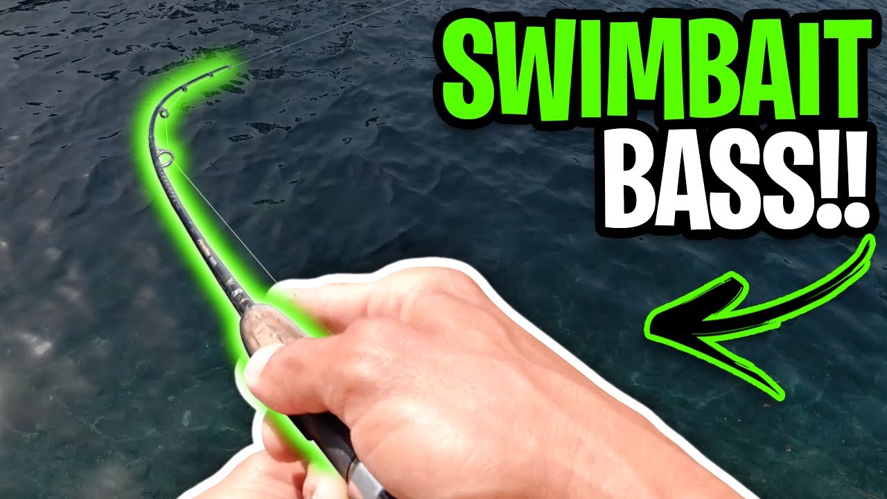 Swimbait Bass Fishing At Laguna! | May 2021