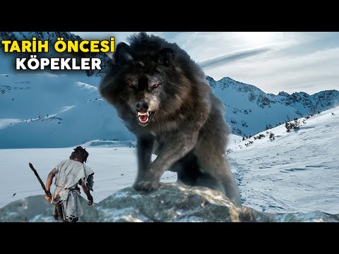 Tarih Öncesinde Yaşamış Olan Gerçek 8 Köpek Cinsi