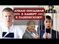 СКАНДАЛ! ЛУКАШ ПОСАДИЛИ В СИЗО К ПАШИНСКОМУ!