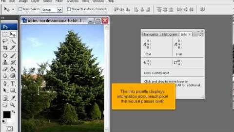 How to get the hex code of a colour for your website in PhotoShop