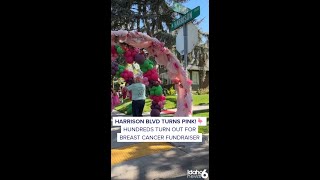 Flock cancer!