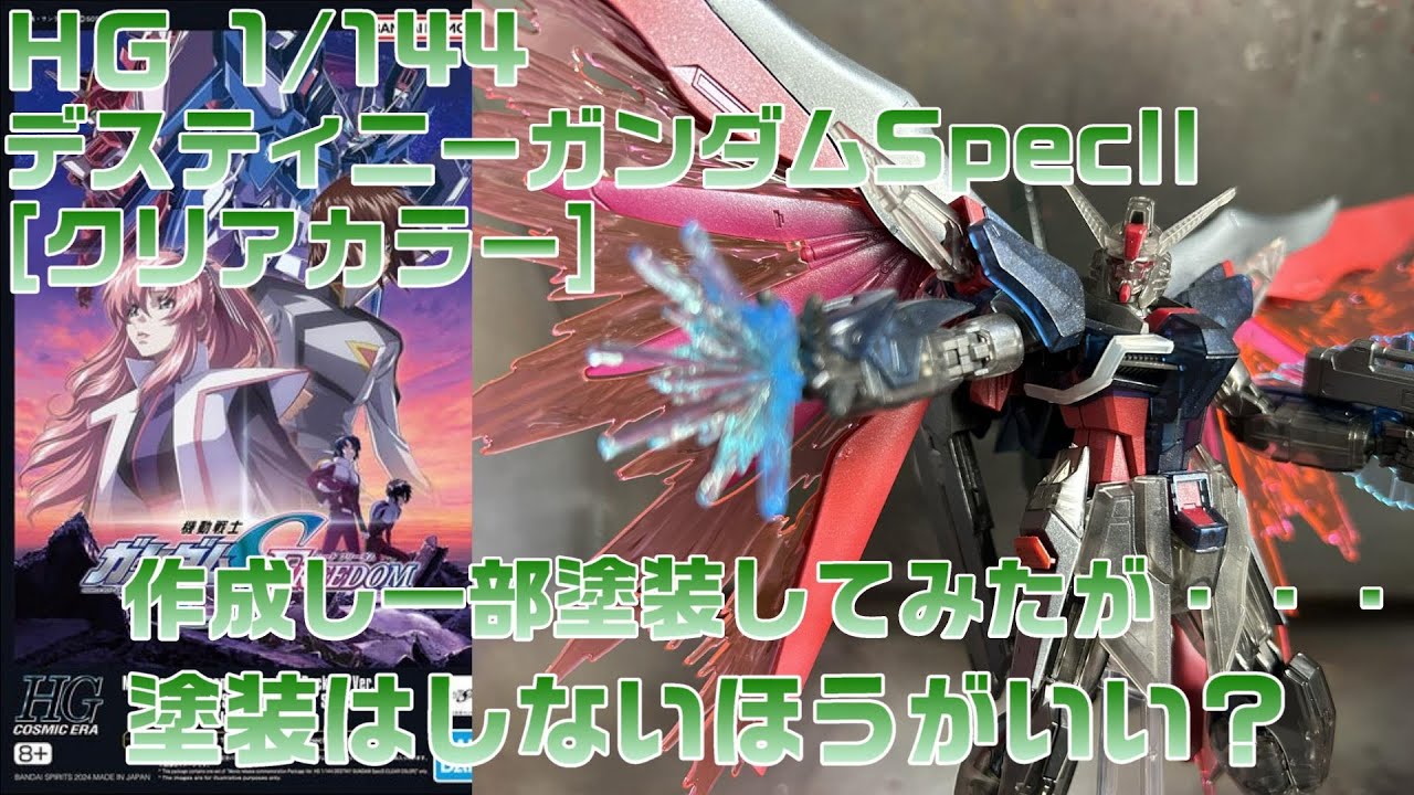 ガンプラ】劇場版公開記念パッケージ HG 1/144 デスティニーガンダム