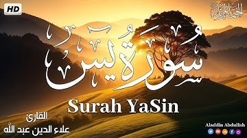Surah YaSin  سورة يس كاملة ||  بصوت هادئ وجميل 😴💚||القارئ علاء الدين عبد الله
