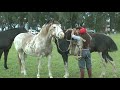 59 FIESTA PROVINCIAL DE LAS LLANURAS-JURA,ENTREVERO Y ENCIERRE DE TROPILLAS ENTABLADAS